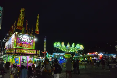 DSC_7786 (Large).JPG